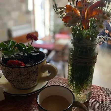 Bujtina Hader Xhebro *