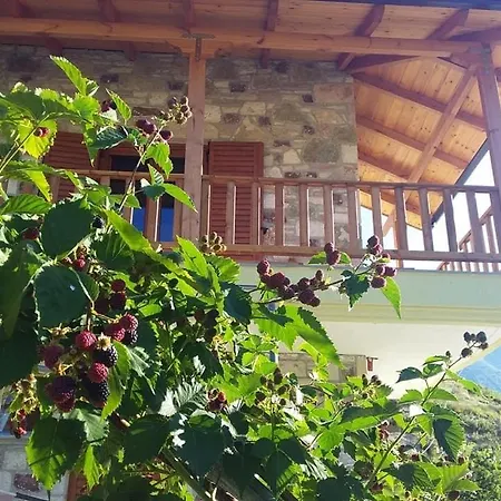 Bujtina Hader Xhebro *