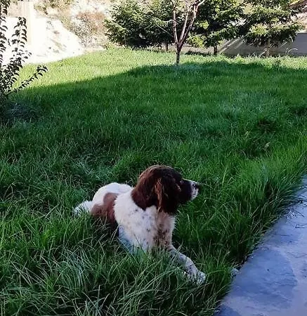 Bujtina Hader Xhebro *