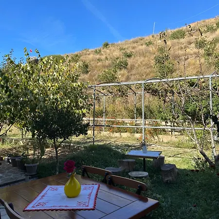 Hostel Bujtina Hader Xhebro *