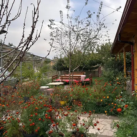 Bujtina Hader Xhebro