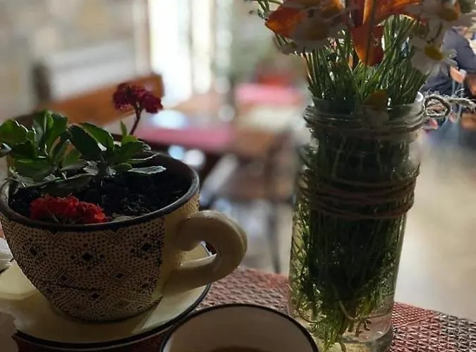 Bujtina Hader Xhebro *