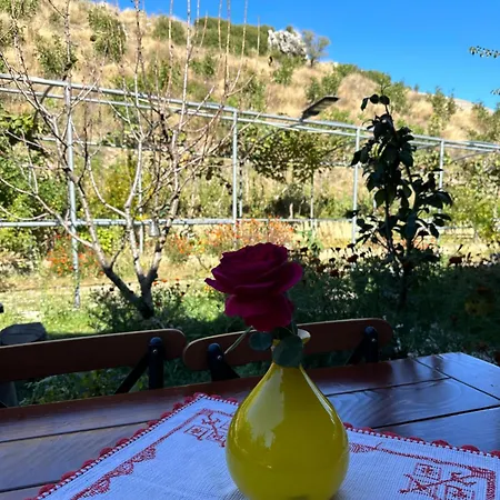 Hostel Bujtina Hader Xhebro Τεπελένι