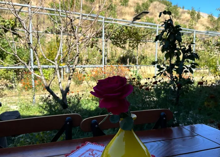 Auberge de jeunesse Bujtina Hader Xhebro Tepelene